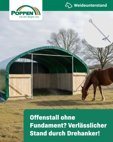 Offenstall ohne Fundament? Verlässlicher Stand durch Bodenanker!