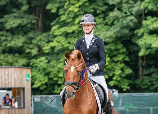 Donec quam felis, ultricies nec, pellentesque eu, pretium quis, sem